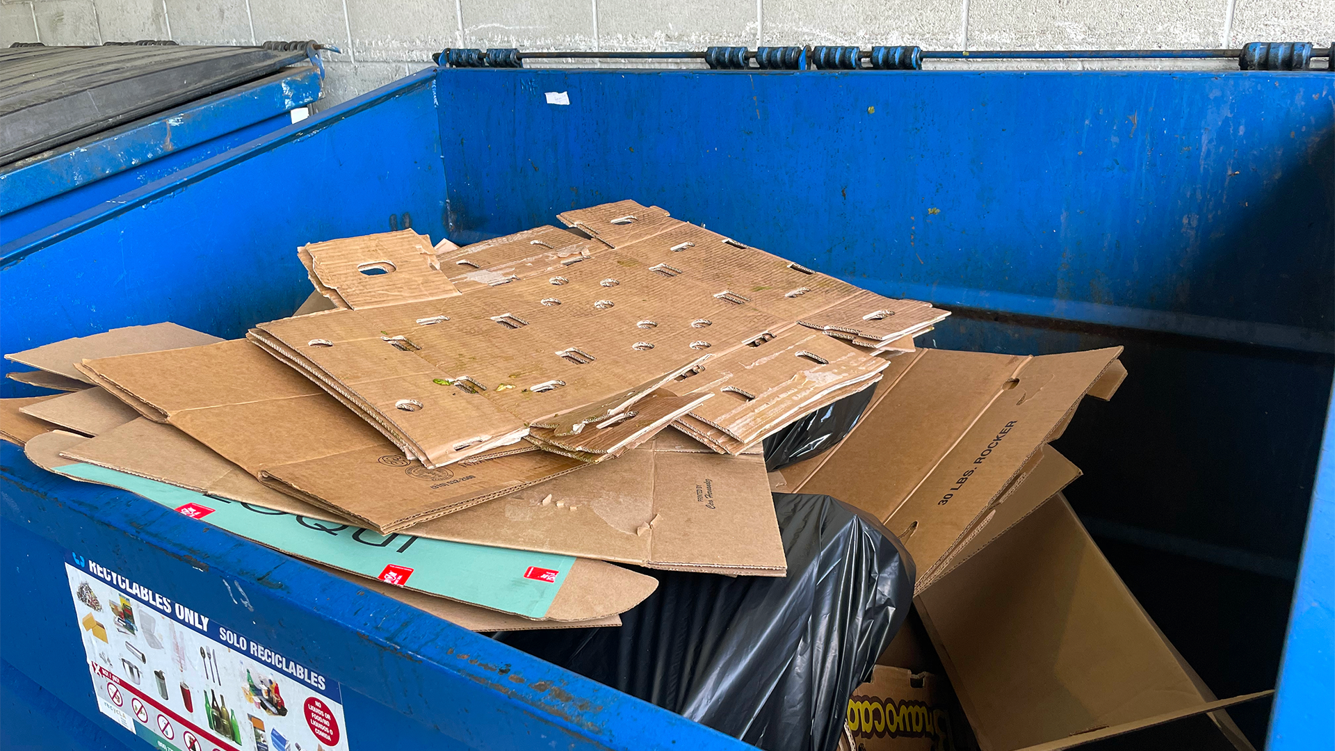 recycling dumpster that is contaminated with a black garbage bag